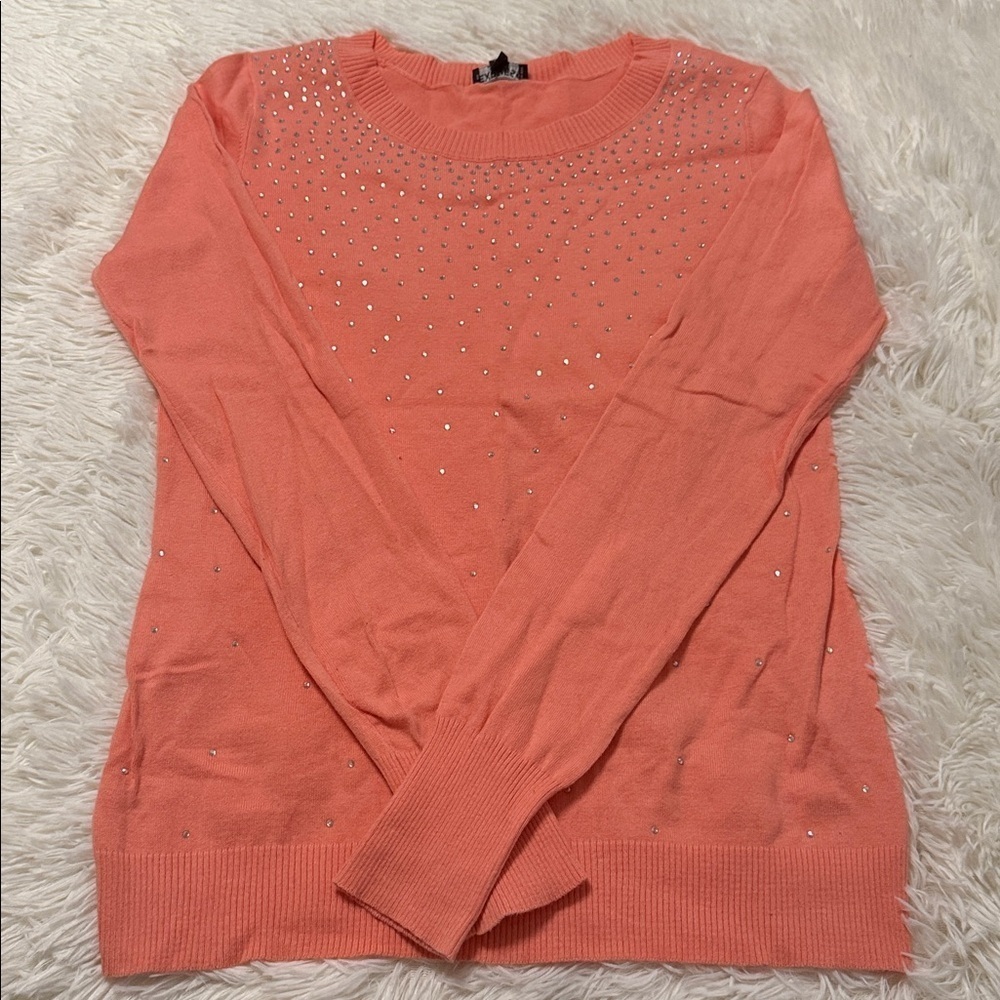 Express Embellished Sweater